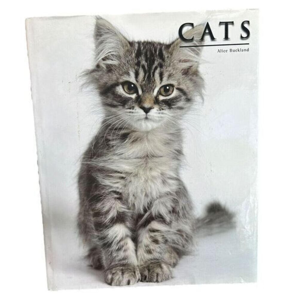 Cats By Alice Buckland 2009 Oversized Hardback Book 15” X 12”